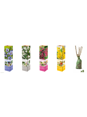 GARDENZO 8er-Set: XL-Ziersträuchern in Bunt