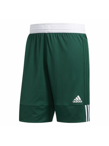 adidas Sportshorts für Herren in uni