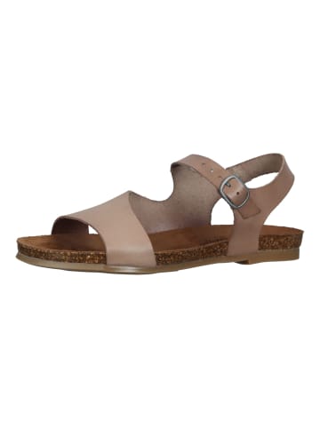 Cosmos Comfort Sandalen in Taupe