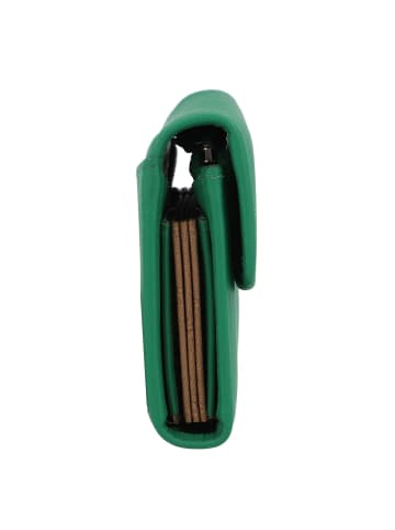 Braun Büffel Joy Geldbörse RFID Schutz Leder 10.5 cm in fern green