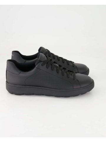 Geox Sneaker low in Schwarz