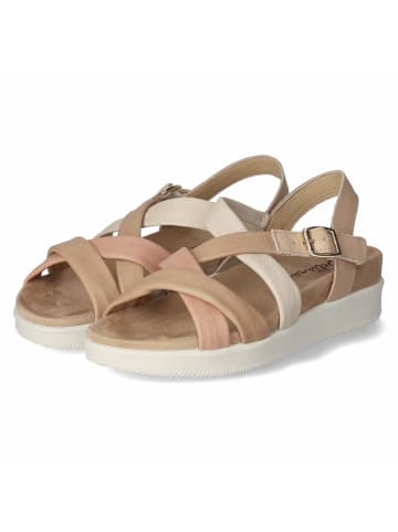 Beliana Sandalette in taupe