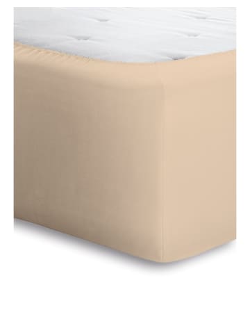 Bassetti Spannbettlaken Boxspring in creme