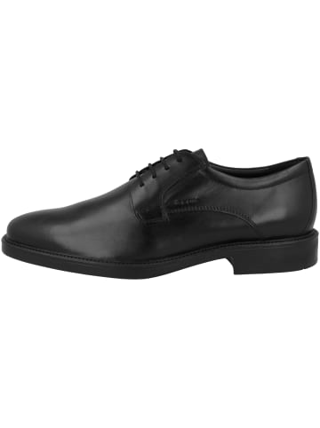 Geox Businessschuhe U Brandolf B in schwarz