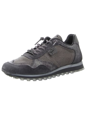 Cetti Sneaker in grau