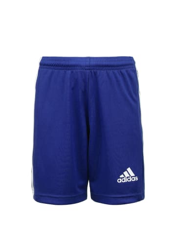 adidas Performance Trainingsshorts Squadra 21 in blau / weiß