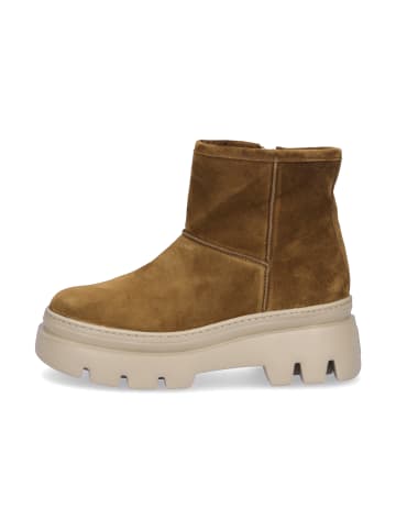 Paul Green Boot in Braun