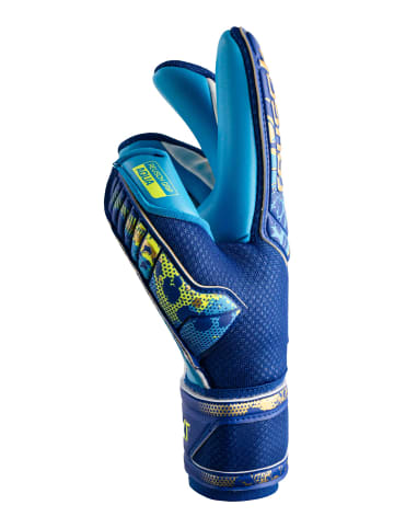 Reusch Torwarthandschuhe Attrakt Aqua in 4433 true blue / gold / aqua b