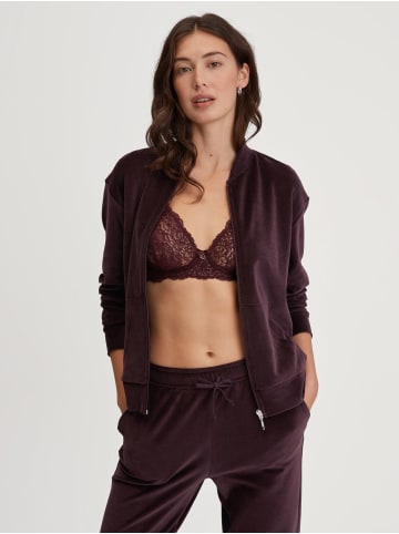 Calida Hose in Black Cherry