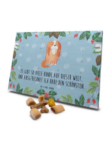 Mr. & Mrs. Panda Hund Adventskalender Hund Cavalier King Charles... in Eisblau