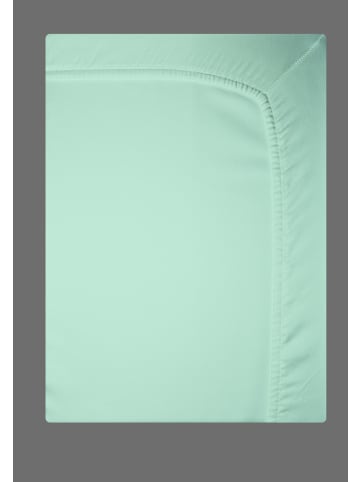 Bierbaum Mako Statin Spannbettlaken Laken Baumwolle in Lind