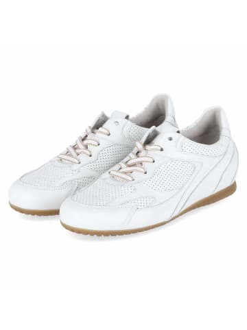 Gabor Low Sneaker in weiß
