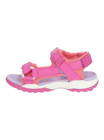 Geox Sandalen in Fuchsia