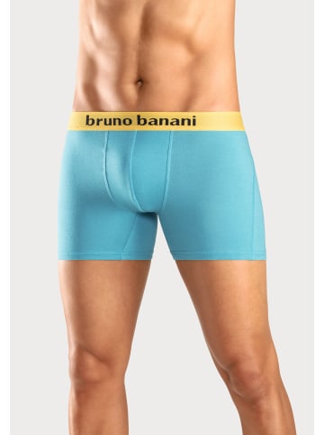 Bruno Banani Boxer in gelb, royalblau, türkis, navy