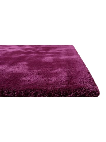Homie Living Teppich "Pisa" in Violett Pink