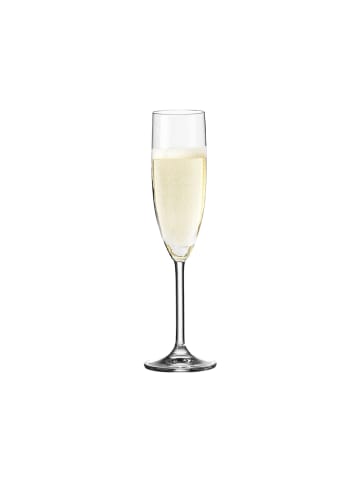 LEONARDO 12er Set Sektglas Daily 200 ml in transparent