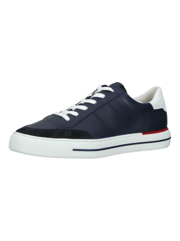 Paul Green Sneaker in Dunkelblau