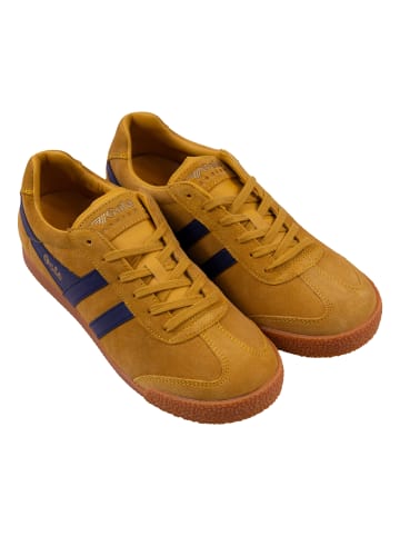 Gola Schuhe Harrier Suede in Ocker