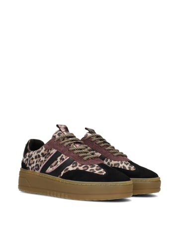 POELMAN Poelman ANEMONE Damen Sneaker