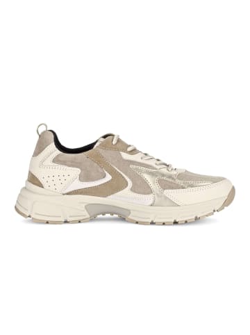 Gabor Comfort Sneaker low in multicolour