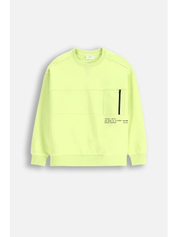 Coccodrillo Sweatshirt in limonengrün
