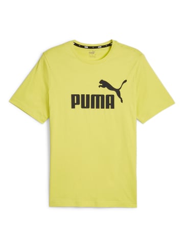 Puma T-Shirt 1er Pack in Grün (Lime Sheen)