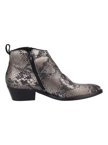 Replay Stiefelette in Grau/Schwarz