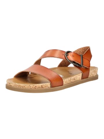 Blowfish Sandalen in Scotch