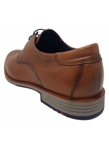 LLOYD eleganter Schnürer Tambo in Braun