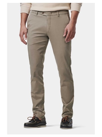 MMX Chino Lupus in stein