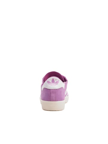 adidas adidas Turnschuhe in preloved purple/footwear white/gold metallic