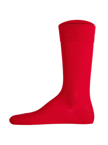 U.S. Polo Assn. Socken 3er Pack in Marine/Royalblau/Rot