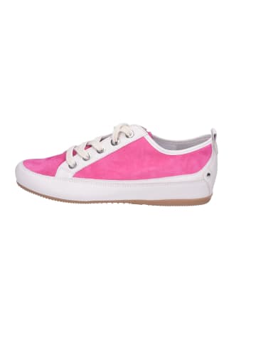 Semler Schnürschuh in rosa