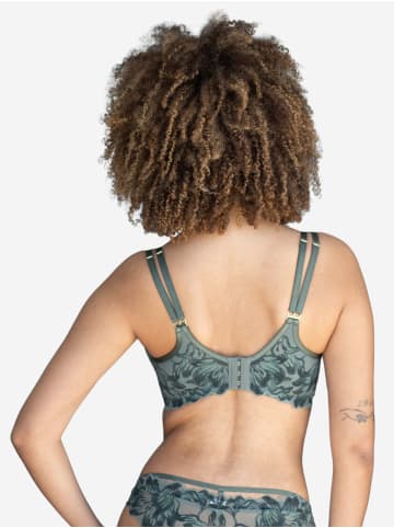 SugarShape BH CHA in olive