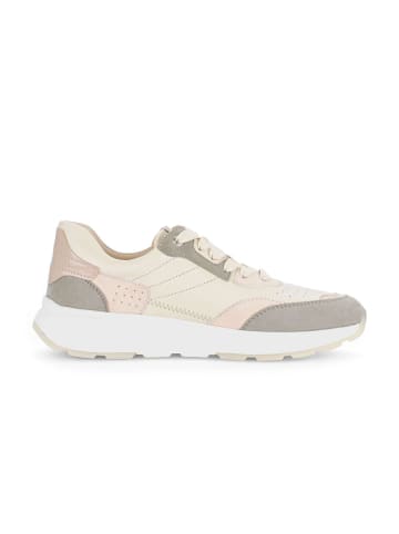 Gabor Sneaker low in grün