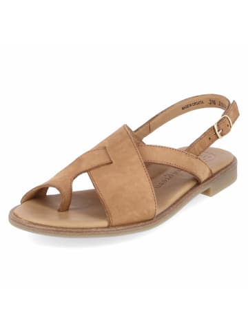 Paul Green Sandalen in braun