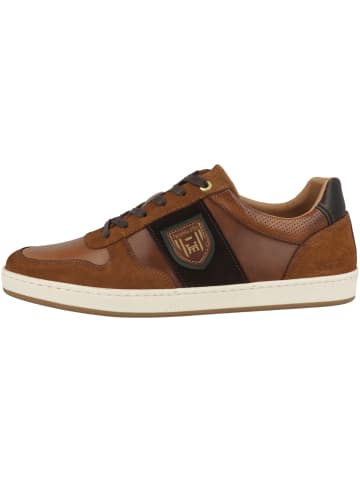 Pantofola D'Oro Sneaker low Palermo Uomo Low in braun