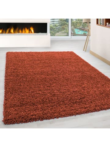 Teppich Boss Hochflor Teppich Lux in Terrakotta