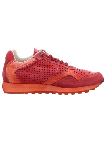 Cetti Sneaker in rot