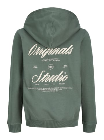 JACK & JONES Junior Kapuzenpullover in Laurel Wreath