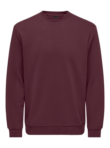 ONLY & SONS Sweatshirt in Port Royale 1