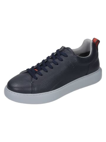 manitu Schnürschuhe in navy