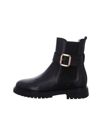 Acebos Stiefeletten/Boot in schwarz