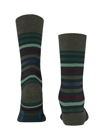 Falke Socken Tinted Stripe in Wald