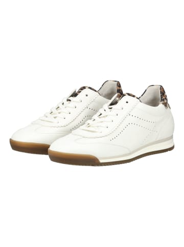 Gabor Sneaker in Weiß