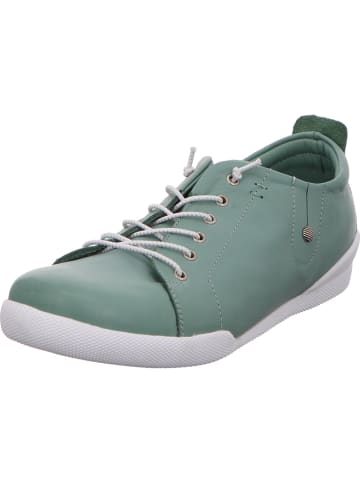 Andrea Conti Sneaker in grün