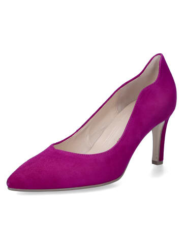 Gabor Pumps in Lila