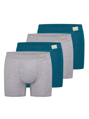 Sloggi Long Short / Pant men GO Natural in Grau / Türkis