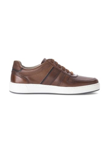 Gabor Sneaker low in braun