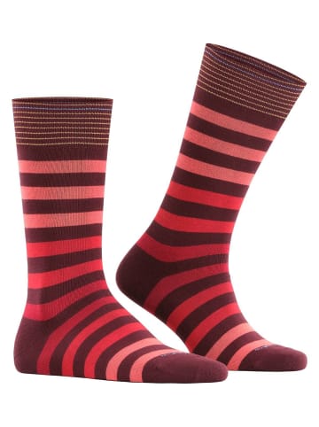 Burlington Socken 1er Pack in Bordeaux/Rot